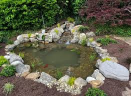 Image result for garden pond ideas