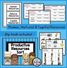 Optimizing capital resources will become a top priority as cfos face another year of financial pressures from changing payer and consumer dynamics. Economics Productive Resources Sort Will Help Assess Students Knowledge Of Human Resources Capital Resources And Natu Economics Capital Resources Resources