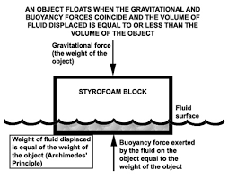 swimming science bulletin