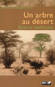 Image result for Acacia adenocalyx