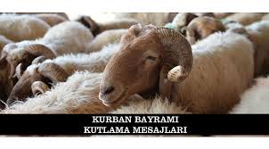 Jun 26, 2021 · fuat oktay'dan 3600 ek gösterge açıklaması cumhurbaşkanı yardımcısı fuat oktay daha önceki dönemlerde cumhurbaşkanı recep tayyip erdoğan tarafından müjdelenen ancak halen uygulamaya giremeyen 3600 ek gösterge konusuna dair açıklamalarda bulundu. Kurban Bayrami Kutlama Mesajlari Guncel Www Karamandauyanis Com Karaman Da Uyanis Okuyun Haberiniz Olsun