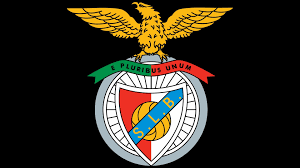 10h às 22h (seg à sáb) / 13h às 21h (dom) clínica liv: 20 S L Benfica Hd Wallpapers Background Images