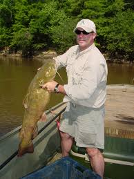 Fish Diversity in the CPY Rivers