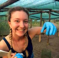 Sea Turtles Conservation