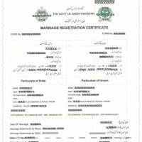 A marriage under the special marriage act, 1954 allows people from two different religious backgrounds to come together in the bond of marriage. 84 Best Muslim Nikah Ideas Muslim Nikah Nikah Online Marriage