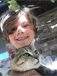 Friendly cats taken in by a shelter are often owned cats that live indoors  and out. When an outdoor family cat gets removed from its neighborhood and  taken to the shelter, the