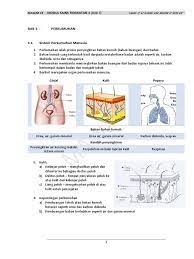 Modul sains tingkatan 3 (bab 4). Modul Sains Tingkatan 3 Bab 3