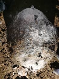 Image result for site:byggahus.se stenspräckare