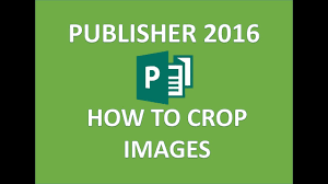 Publisher 2016 Fill A Shape With A Picture And Crop