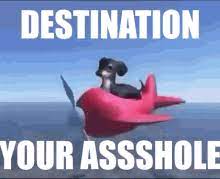Dog Plane Gifs Tenor