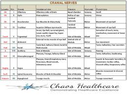 Twelve Cranial Nerves Cranial Nerves Learn With Fun With Images Cranial Nerves Medical Coding Nursing Mnemonics