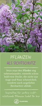 Pin Auf Garten