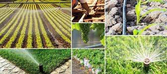 Water is generally classified into two groups: Irrigation Supplies And Equipment From Dripdepot