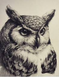 Black And White Animal Drawings Realistic Owl Tattoo Realistic Black And White Owls Drawing Owl Tattoo Owl Tattoo Design