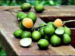 Check spelling or type a new query. Fruta El Mamon Youtube