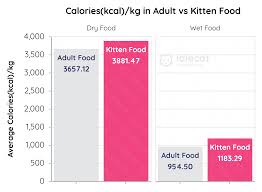 Kitten Food Vs Adult Cat Food What Are The Differences