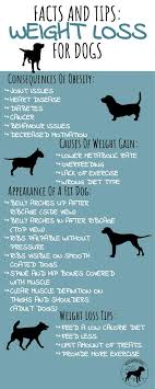 Pin On D O G