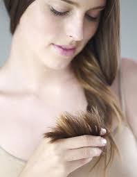 Avec le nombre de shampooings à l'oeuf qui existe, il n'est pas étonnant de se. Soin Pointes Seches 13 Recettes De Cosmetiques Faits Maison Elle