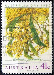 Australia Australia Day Golden Wattle Scott 1163 A412 Issued 1990 Jan 17 Litho Perf 15 X 14 Postage Stamp Art Postage Stamps Vintage Postage Stamps