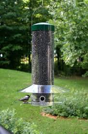 Bird Feeder Rain Guard 20 Inch Classic Squirrel Proof Bird Feeder Animales