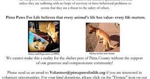 Pima Paws For Life Pima Paw Cat Adoption