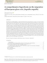 Shop basins from exclusive brands with mico. Pdf A Comprehensive Hypothesis On The Migration Of European Glass Eels Anguilla Anguilla