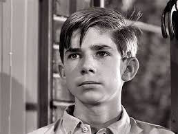 Child actor Donald Losby appeared in the episodes Cry Uncle and Fear in a  Desert City ~