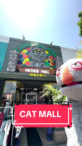 Have you been to Catnip Coalition yet?! 🐈🐱 #barryunderyourbed #puppet  #puppetry #barry #burbank #losangeles #la #socal #burbankca #thingstodoinla  #catnipcoalition #vintagemall #catlover #catlife ...