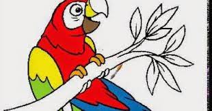'burung kakak tua' adalah satu dari sekian banyak lagu anak indonesia. Terbaru 21 Gambar Burung Kakak Tua Kartun Gani Gambar