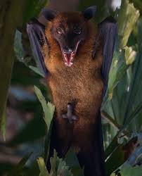 Когда девушка намекнула на секс - 19.08.21 12:33 | Пикабу