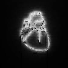 Check spelling or type a new query. Di Twitter Red Neon Signs Aesthetics Aesthetics Red