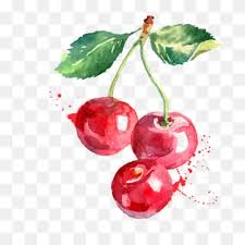 Watercolor Cherries PNG Images