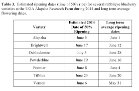 Uga Blueberry Blog Rabbiteye Blueberries 2014 When Will