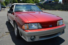 Image result for Wild Strawberry 1990 Tracer