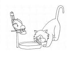 Print & use tools drinking water coloring page. Online Coloring Pages Parrot Coloring The Parrot And The Cat Drinking Water Seals