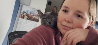 Korat Cat Cattery Sezerp*PL