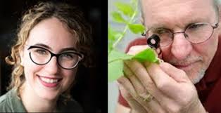 Finger Lakes Vineyard Update