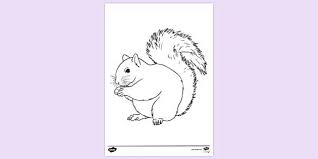 I created the drawing by hand with pen and ink, then i digitized the image and converted it to pdf, jpg and png formats. Grey Squirrel Colouring Page Colouring Sheets