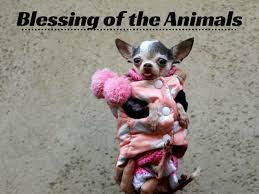 Pound of fleisch of gravel haulers: Blessing Of The Animals Animals Patron Saint Of Animals Blessed