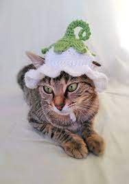 Flower Fairy Hat For Cat Flower Pet Costume Halloween Pixie Fairy Kitten Outfit Cat Accessories Gift For Cat Lover Halloween Pet Costume In 2021 Crochet Cat Hat Hat For Cat Cat Flowers