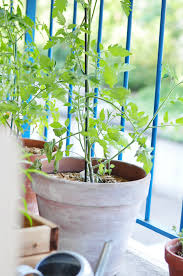 Vous y trouverez les meilleures pièces uniques ou personnalisées de nos jardinières et pots boutiques. Diy 3 Idees Pour Customiser Et Peindre Ses Pots De Fleur En Terre Cuite Blog B B