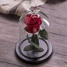 Give gift birthday thank you surprise love hands handshake gifts giving. Eternal Rose Flower With Love Glass Black Case Artificial Flower Gift For New Year Valentine Christmas Gif Good Home Decoration Artificial Dried Flowers Aliexpress