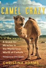 An overview of autism spectrum disorder, heterogeneity and treatment options. Camel Milk And Autism Connecting The Genetic Dots Dna Science