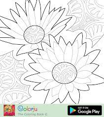 My bush also stood up to the houston heat very well. Coloring Pages D Floral Coloring Pages