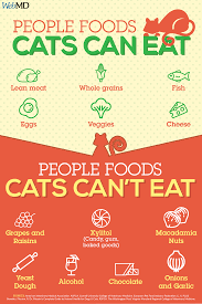 People Foods Cats Can Eat Foods Cats Can Eat Cat Nutrition Homemade Cat Food