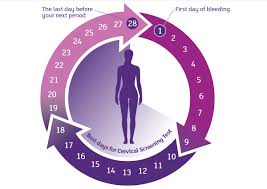 The purpose of a pap smear is to collect cells from your cervix, which is. When To Have Your Cervical Screening Test Cancer Institute Nsw