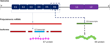 Get info of suppliers, manufacturers, exporters, traders of underground metal detector for buying in india. Gold Hybridized Zinc Oxide Nanorods As Real Time Low Cost Nanobiosensors For Detection Of Virulent Dna Signature Of Hpv 16 In Cervical Carcinoma Scientific Reports
