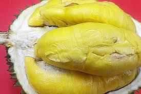 دورين) ialah buah daripada beberapa spesies pokok dalam genus durio (pokok durian) yang menghasilkan buah beraroma kuat yang boleh dimakan. Durian Musang King Durian Manis Dengan Daging Legit Dan Creamy Halaman All Kompas Com