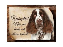 Image result for anglický špringršpaněl