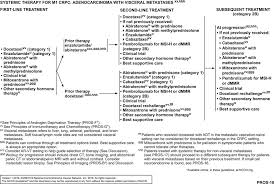 The nccn guidelines for prostate cancer include recommendations regarding diagnosis, risk stratification and workup, treatment options for localized disease, and … Prostate Cancer Version 2 2019 Nccn Clinical Practice Guidelines In Oncology In Journal Of The National Comprehensive Cancer Network Volume 17 Issue 5 2019